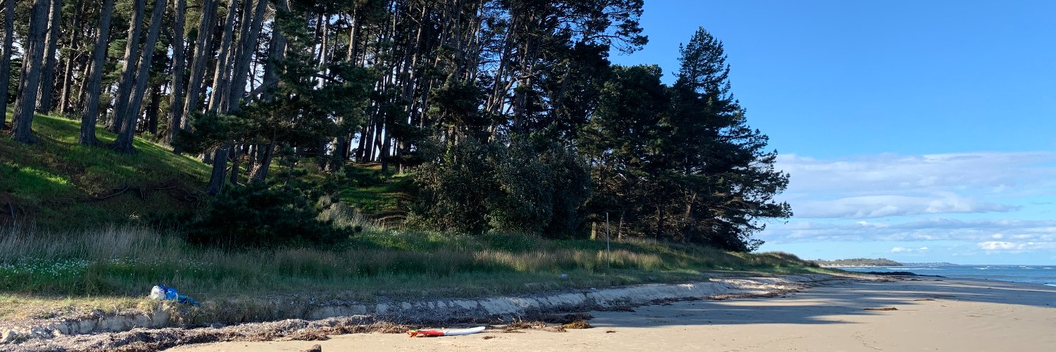 Simon Griffiths banner