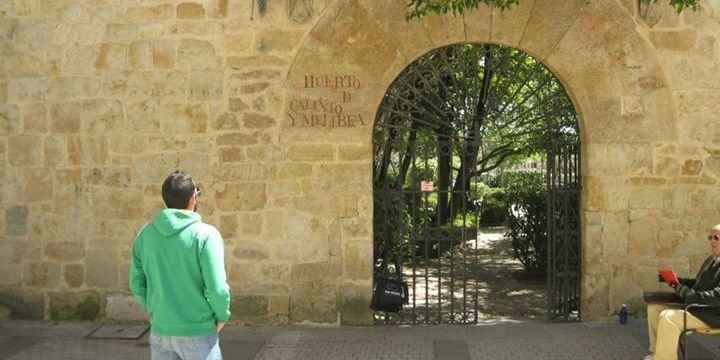 SergCapella's profile banner image