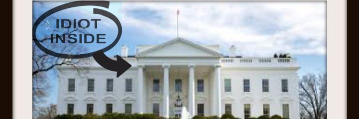 Trumptionary17's profile banner image