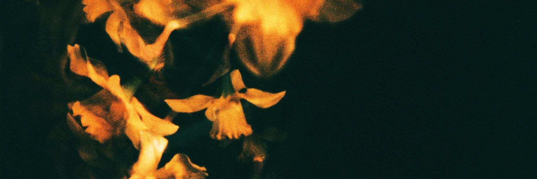iltabe's profile banner image