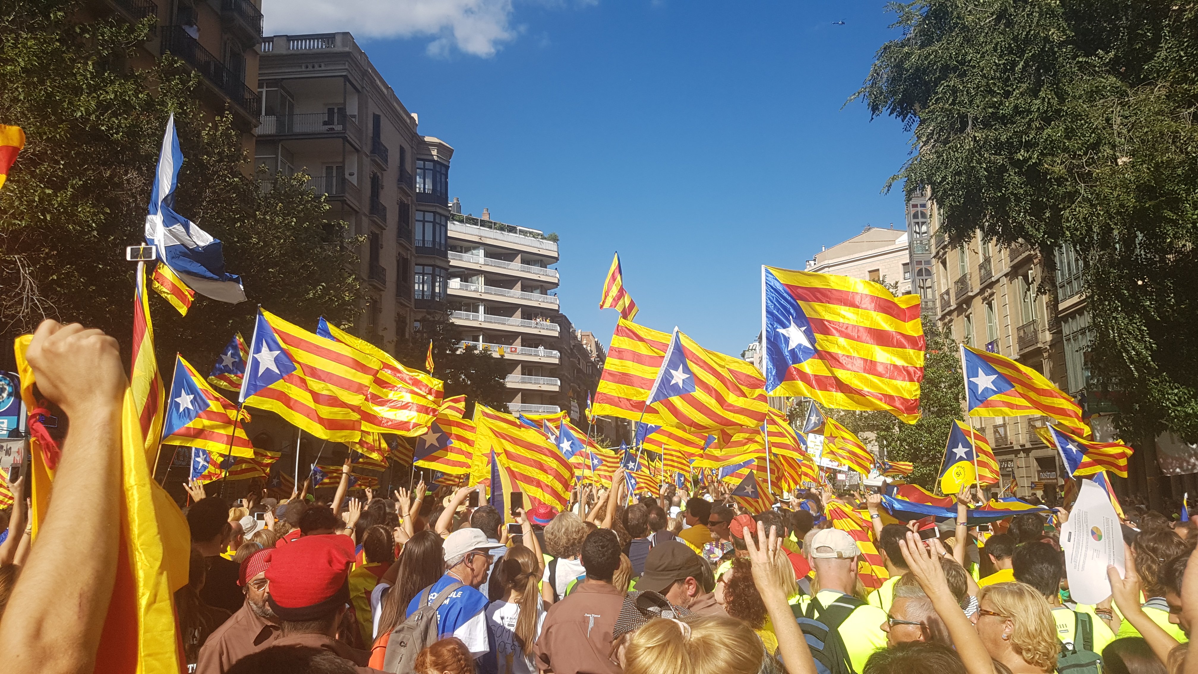 Bernat #josocCDR 🎗🎗🎗 banner