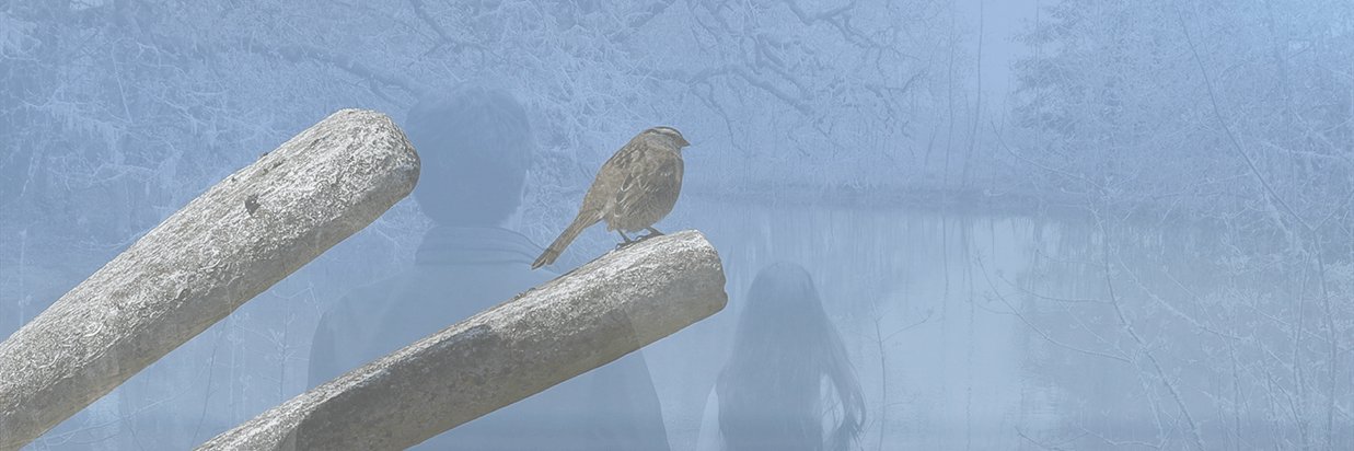 scottweaver360's profile banner image