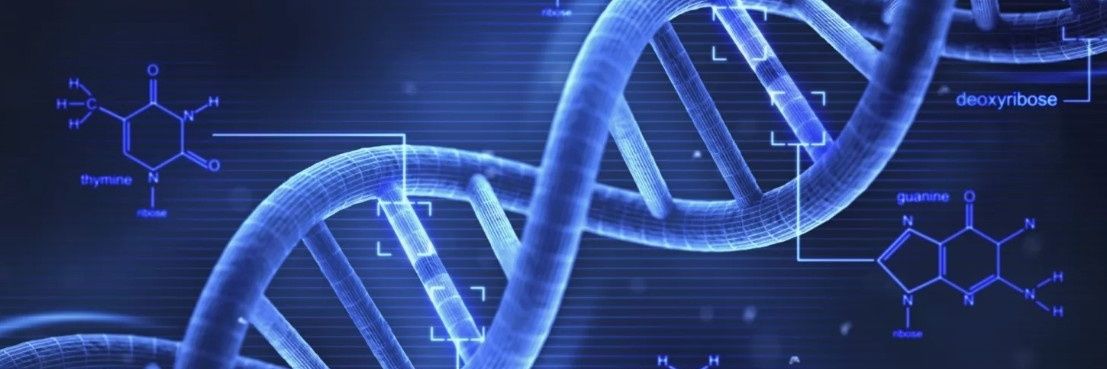 BiologicalIndia's profile banner image