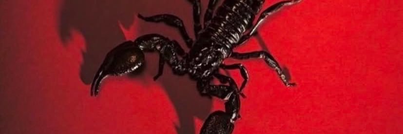 Codenamenicole_'s profile banner image