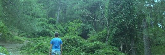 Alejandro De Lahoz banner