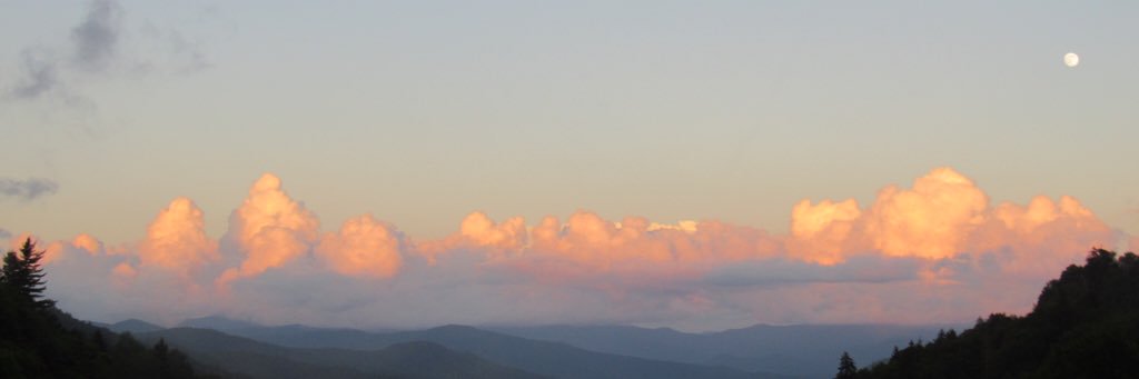 ash_mcelveen's profile banner image