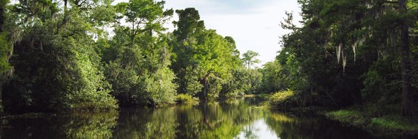 JasonChristens9 Profile Banner