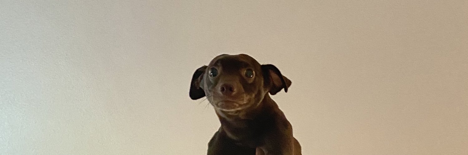 thottilla's profile banner image