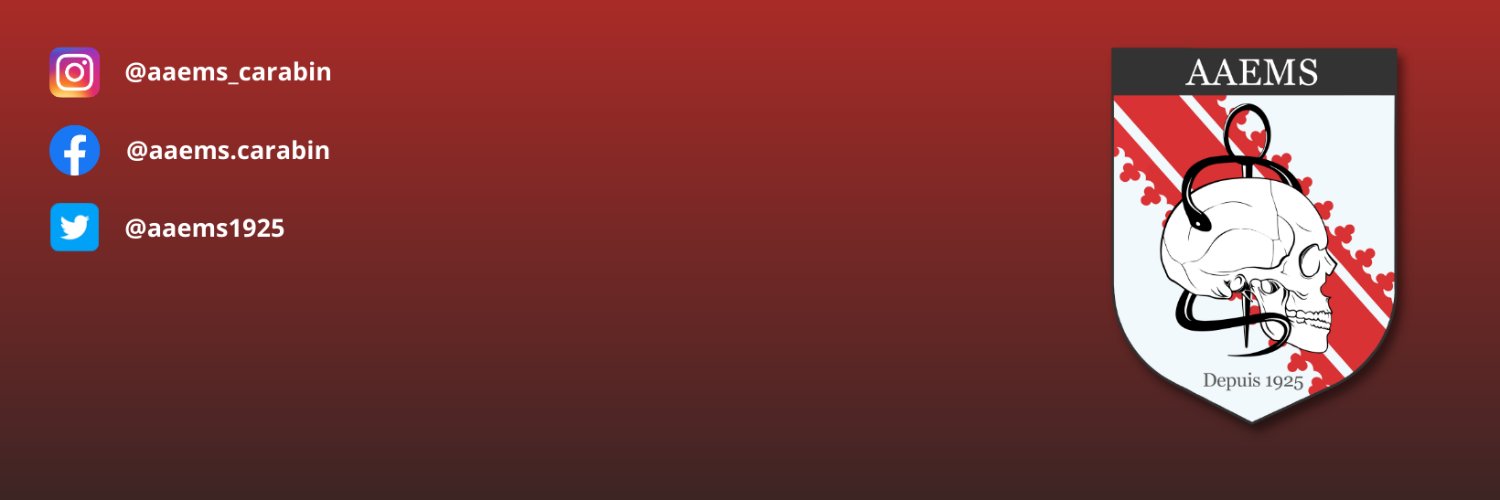 AAEMS banner