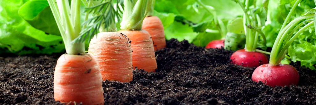 Hire A Chef banner