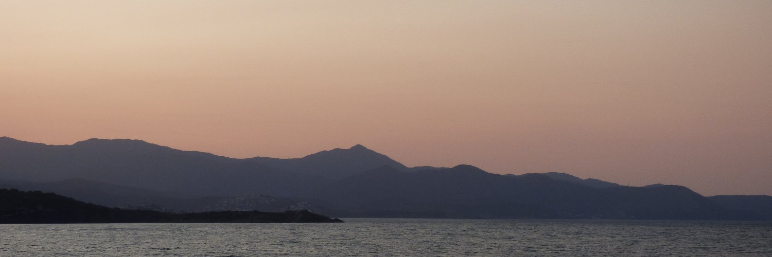 Francesc Brunés 💐🌻🪻 banner