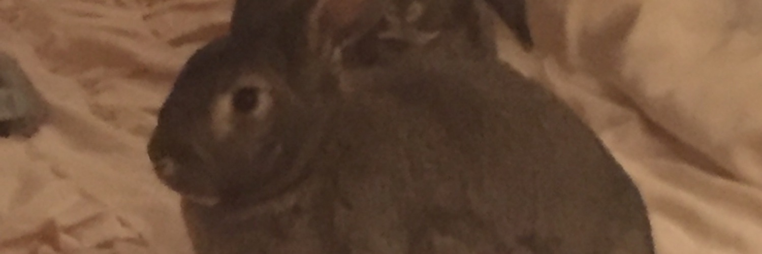 KimHayward3's profile banner image