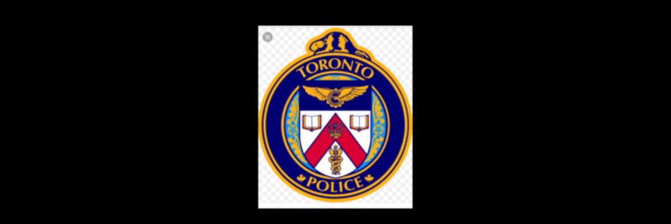 TPSD55fuzz's profile banner image