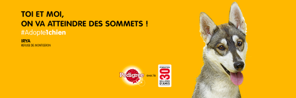 PedigreeFR Profile Banner