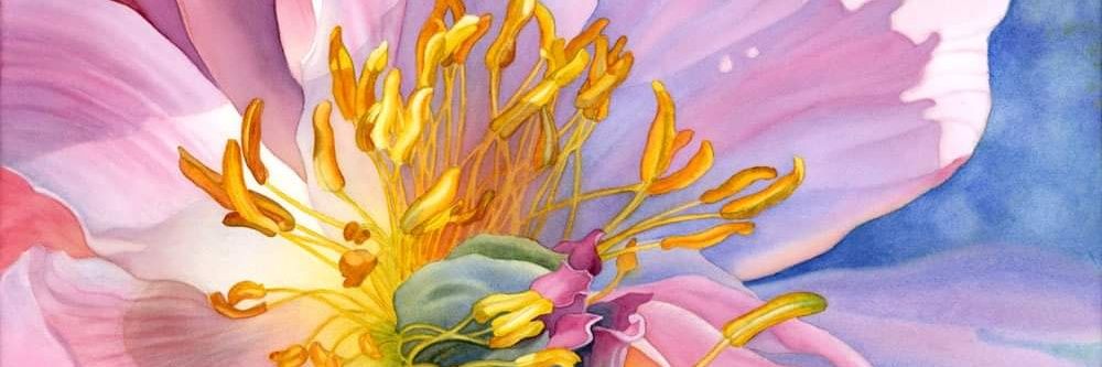 GillyAnne01's profile banner image