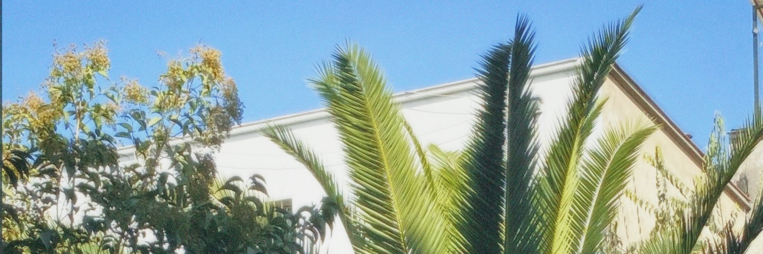 _felaa_'s profile banner image