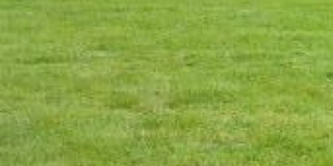 Kantinator123's profile banner image