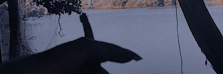 Edu_Henry04's profile banner image