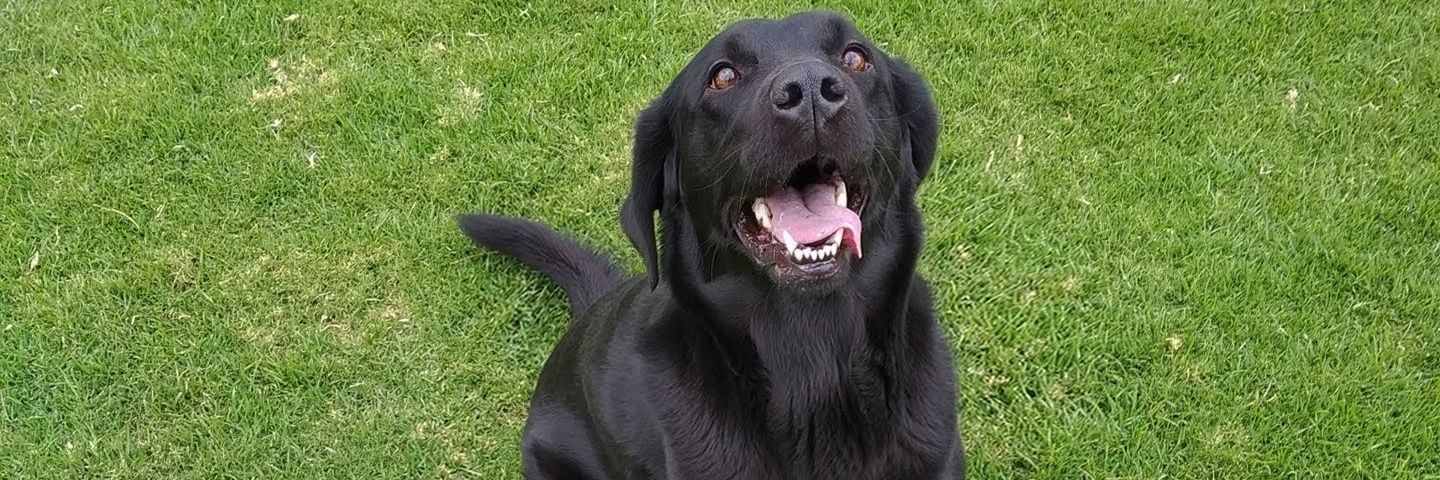 Juan Sebastián banner