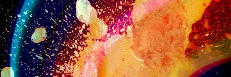 Racertant's profile banner image