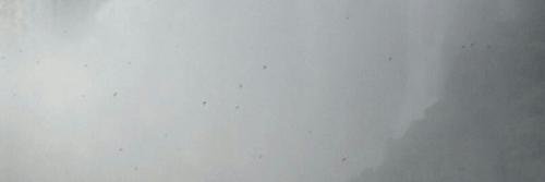espinoshine's profile banner image