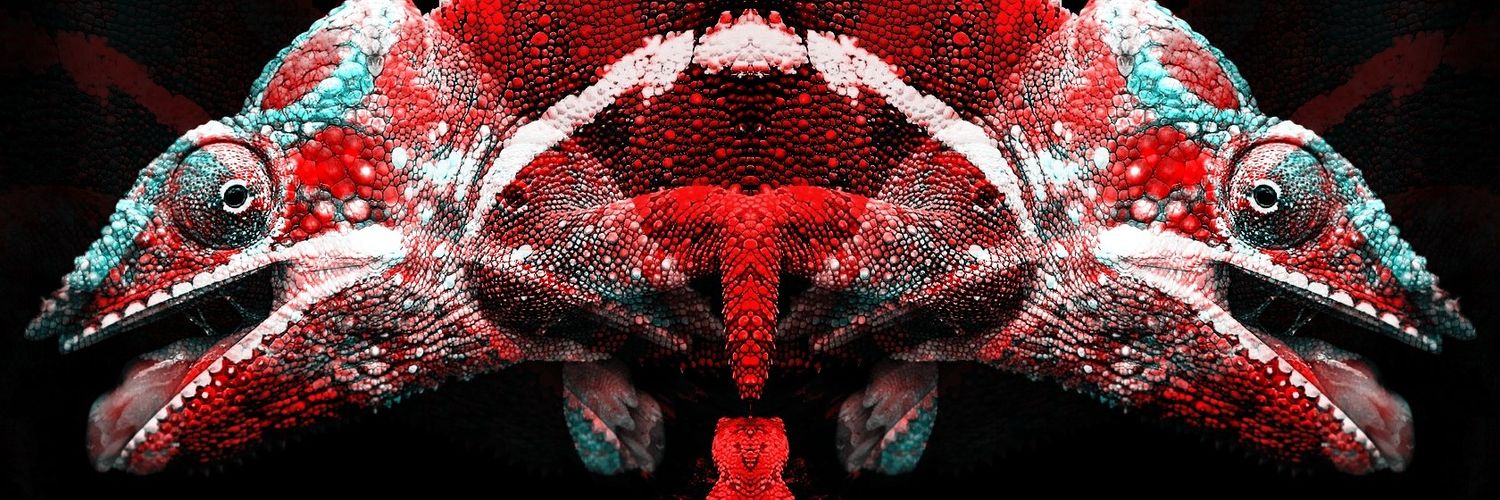 WillyKVG's profile banner image