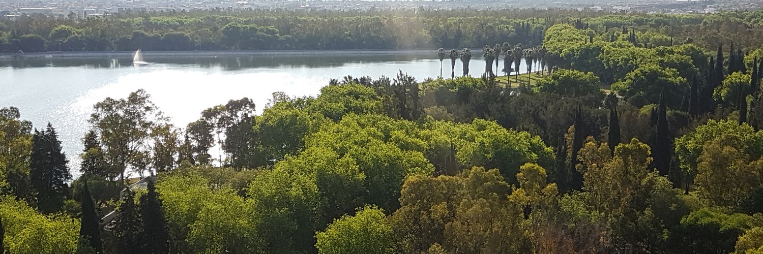 Miguel Maya Rom. banner