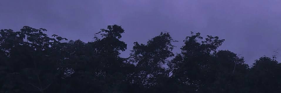 reshyto's profile banner image