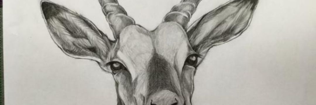 owenmiene's profile banner image