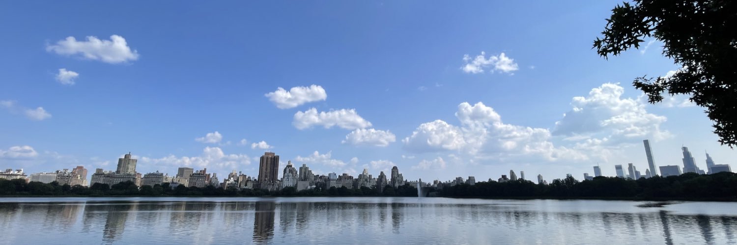 sydneyper0's profile banner image