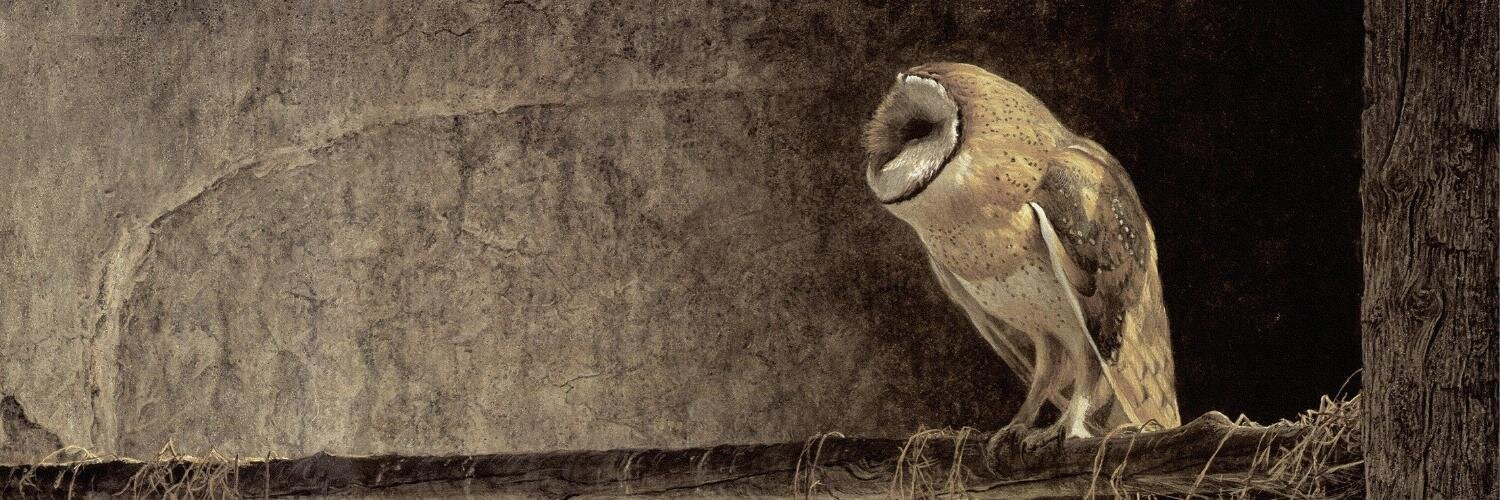 arinarium's profile banner image