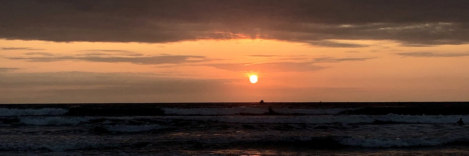 Marili Cassis banner