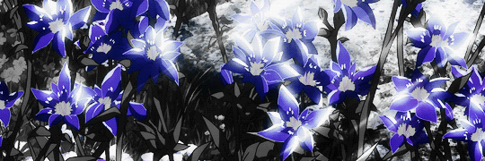 cris55shadow's profile banner image