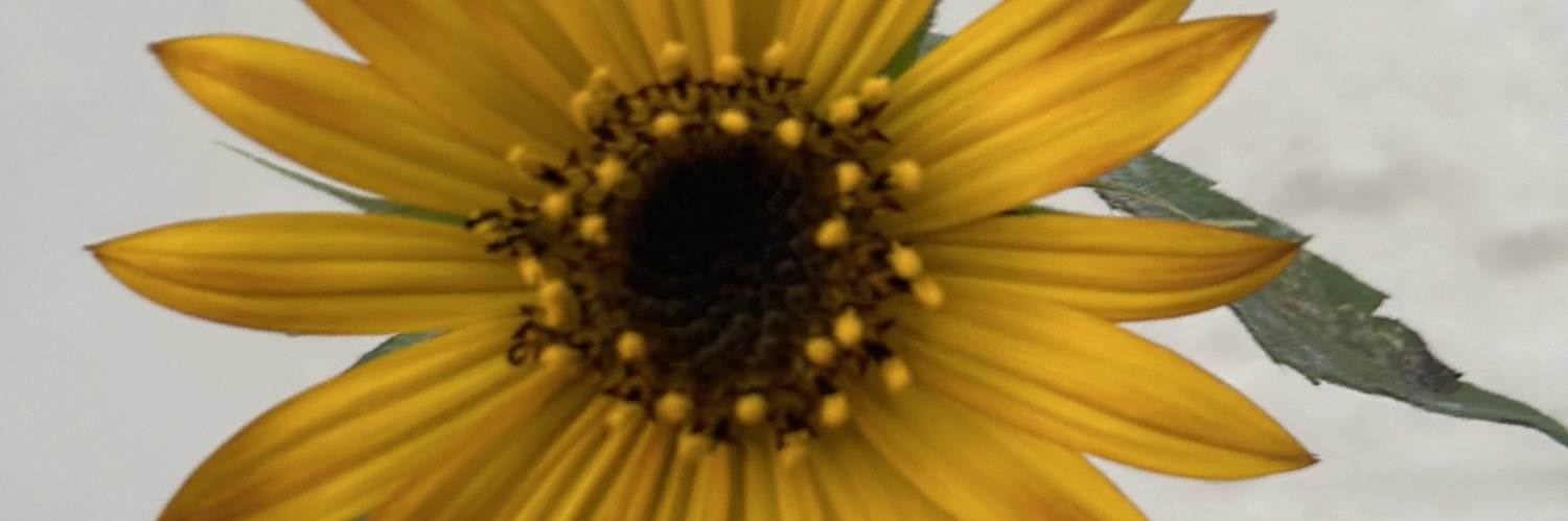 jsd007jd's profile banner image