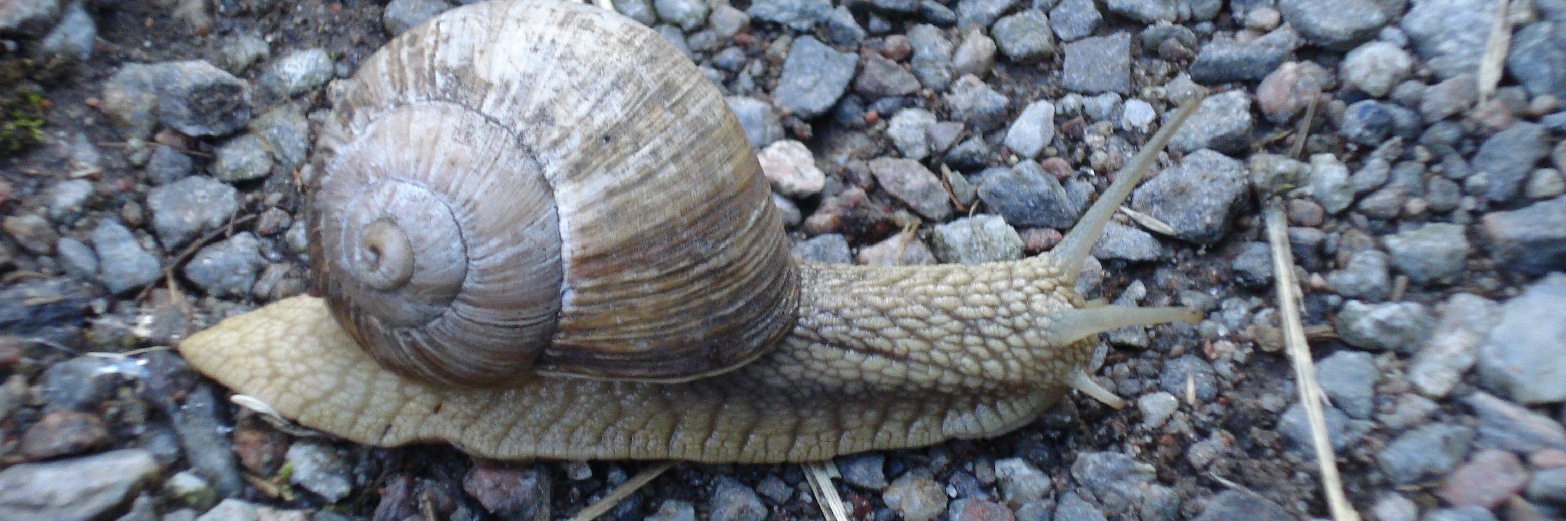 Heather Moulaison-Sandy banner