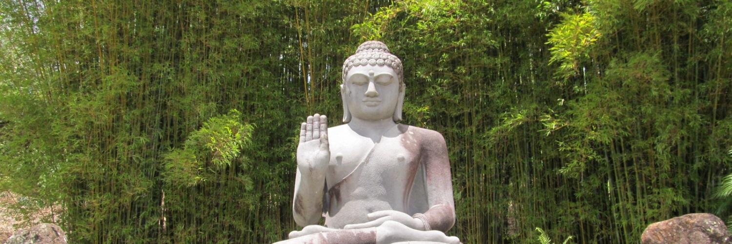 SRWaddle93's profile banner image