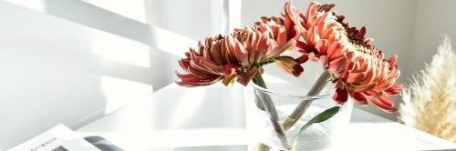 CarmenEsteves's profile banner image
