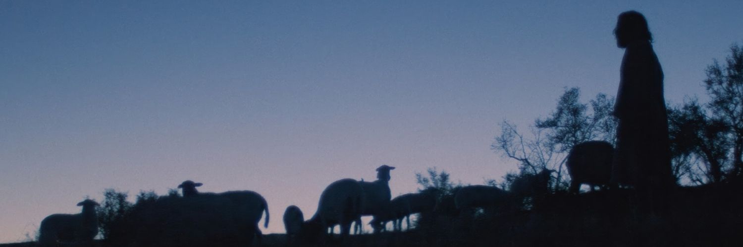 JZC33's profile banner image