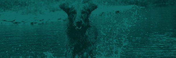 UKC1898 Profile Banner