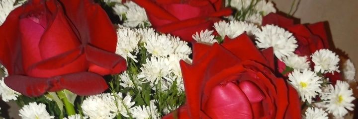 GISELIA SOARES banner