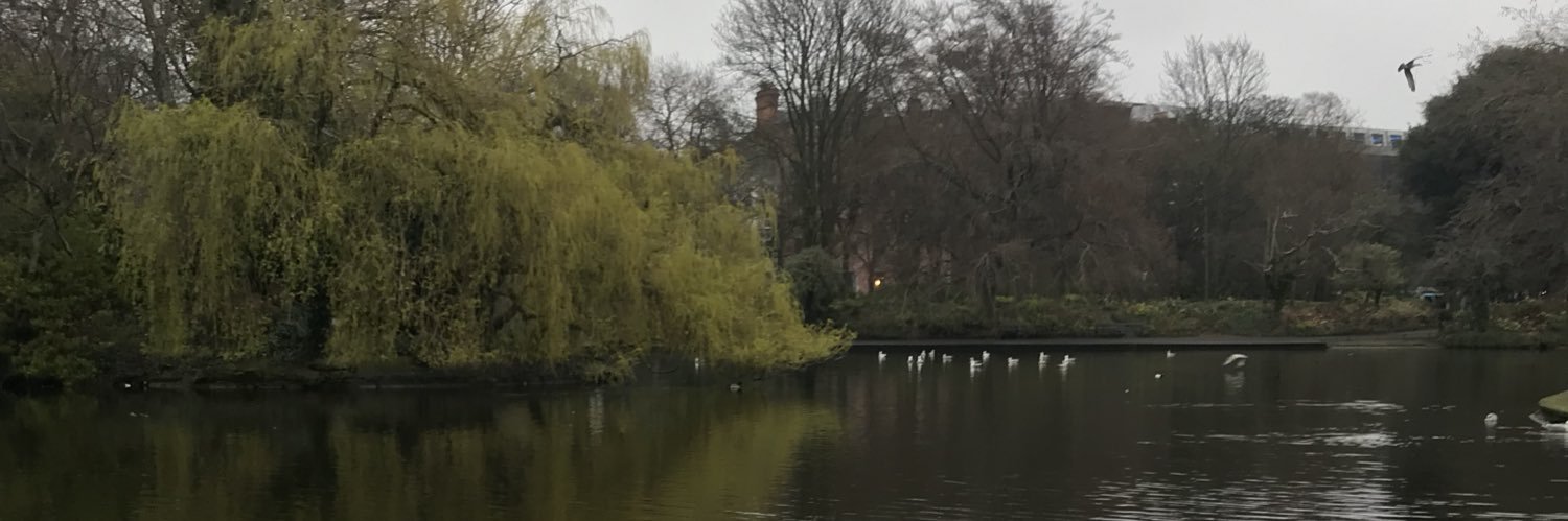 lizzyann4795's profile banner image
