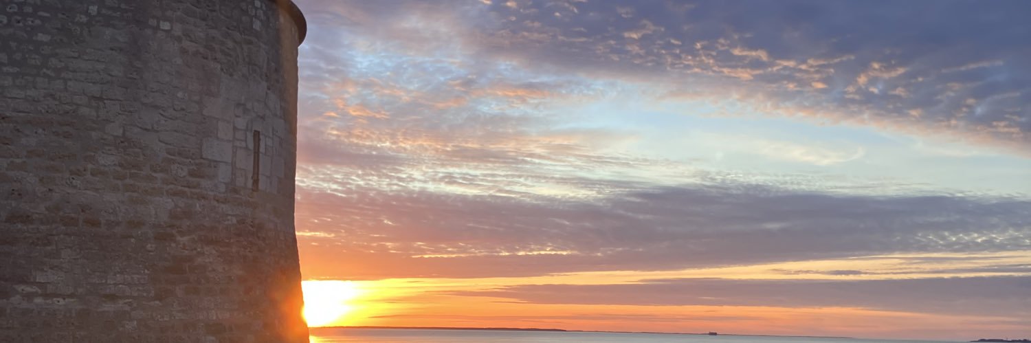 Mathieu Delahousse banner
