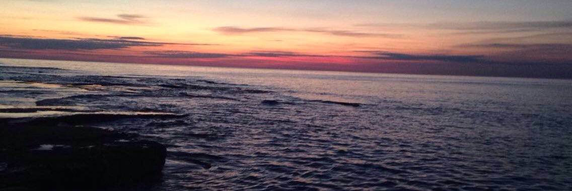 Zips 🤌🏻🤌🏻 banner