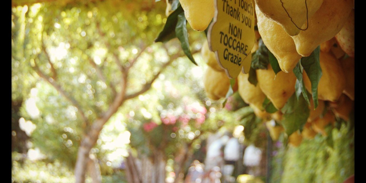 DevaFood's profile banner image