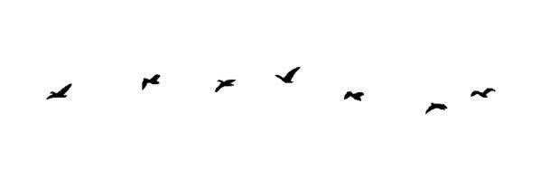 AlsalmanAlanoud's profile banner image