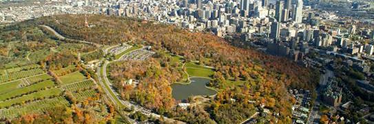 Jennifer Crane banner