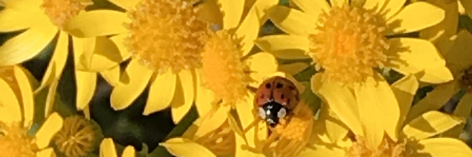 valcox1027's profile banner image