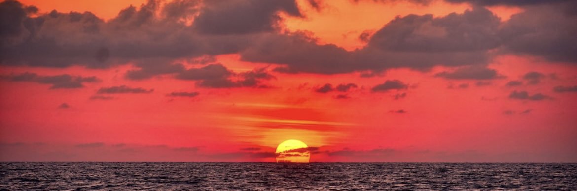 Ffsells's profile banner image