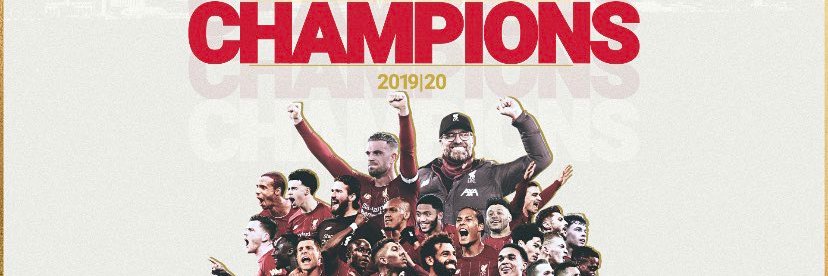 Stevie Wandered banner