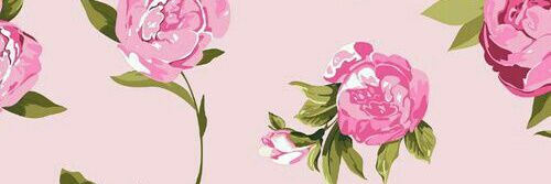 VictoriaElsener's profile banner image
